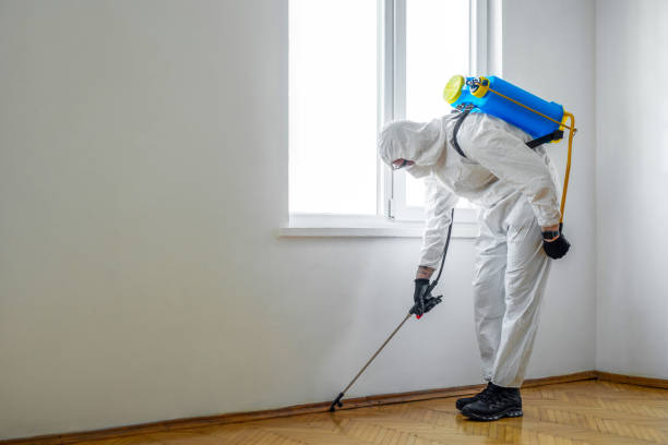 Best Affordable Pest Control Services  in Washington Court House, OH
