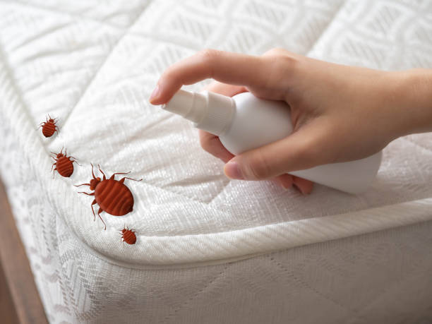 Best Residential Pest Control  in Washington Court House, OH
