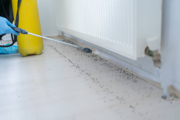 Best Best Pest Control Companies  in Washington Court House, OH